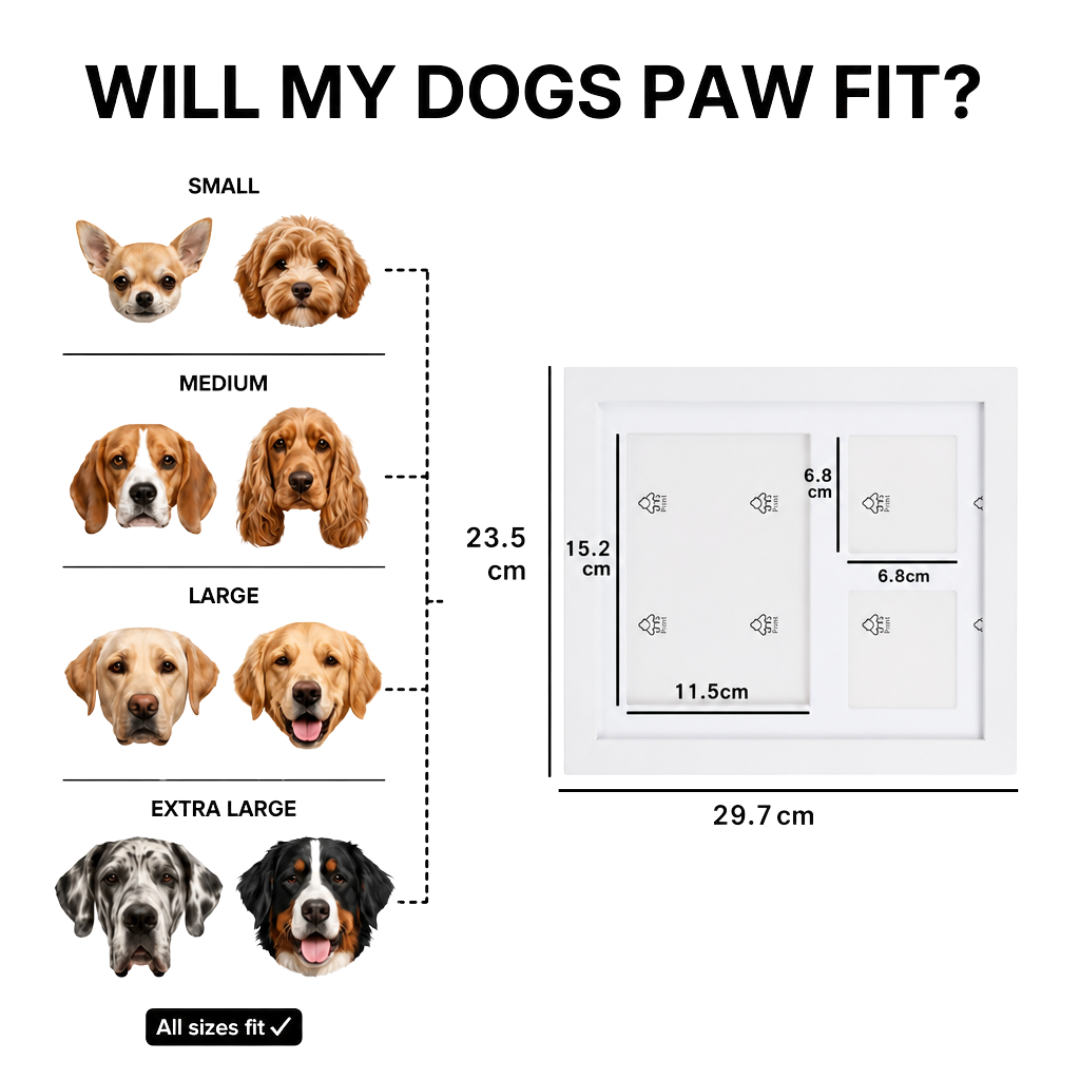 PawKeeps™ Custom Box
